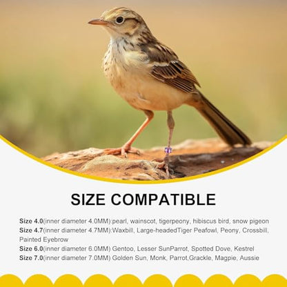 Open Bird Foot Ring, Aluminum Alloy Split Bird Leg Ring for Parrots,Hibiscus,Peonies,Pigeons (4mm,50pcs - color: ID4.0, size: Open