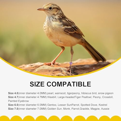 Open Bird Foot Ring, Aluminum Alloy Split Bird Leg Ring for Parrots,Hibiscus,Peonies,Pigeons (6.0mm,50pcs) - color: ID6.0, size: Open