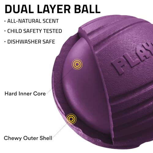 Playology Dog Toys | Dual Layer Ball Durable Chew Toy for Tough Chewers | Bacon Scented Medium Dog Toy | Chew Toys for Dogs - size: Medium, style: Bacon