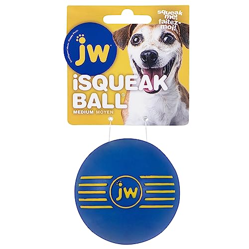 JW iSqueak Ball Durable Natural Rubber Dog Toy (Assorted Colors) - size: One Size