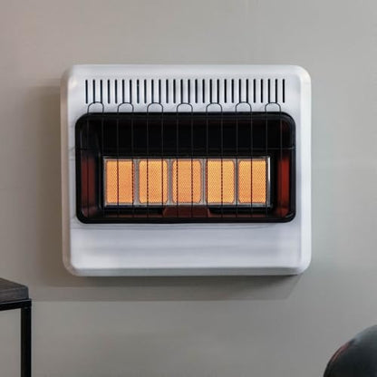 Mr. Heater 30,000 BTU Vent Free Radiant Dual Fuel Heater