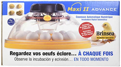 Brinsea Products USAC26C Maxi II Advance Automatic 14 Egg Incubator, One Size, Yellow/Black
