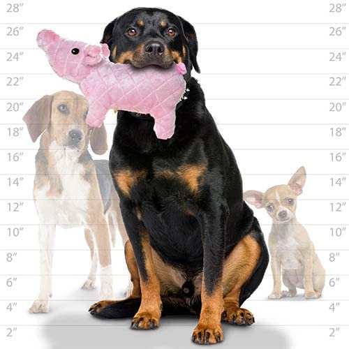 MIGHTY® 2 Pack Farm Animal: Piglet Ultra Plush Dog Toys | Multiple Layers & Reinforced Seams , Washable and Floats , Mighty® Construction - color: 2PK Pink Piglet