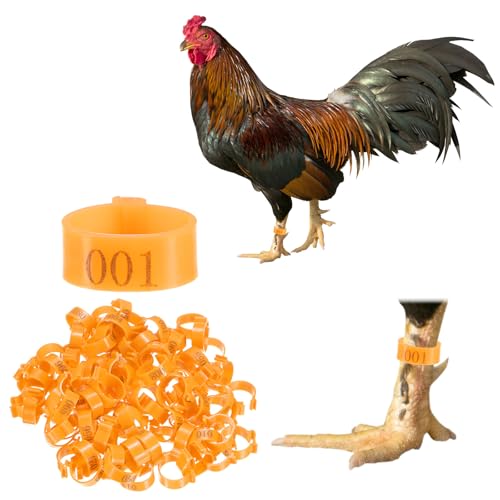 M METERXITY 100-Pack Chicken Leg Bands, 20 mm Plastic Poultry Identification Chicken Leg Rings for Turkey/Duck/Goose/Chicks, Colorful Numbered Foot Clip on Tags [Orange] - color: Orange, size: 2.7 x 2.7 x 1 cm / 1.06 x 1.06 x 0.4 in(L x W x H)