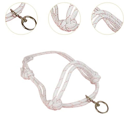 Menolana Bull Bridle Cow Halter for Home Cattles Farms Outdoor Strong Cow Lead Equipment Nylon Tools Effective Cattle Traction Halter - size: Small