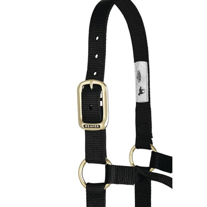 Weaver Leather Original Non-Adjustable Nylon Horse Halter, Small, Black