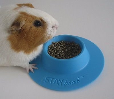 Tip-Proof Ergonomic Pet Bowl for Guinea Pig and Other Small Pets; 1/4-Cup Size; Sky Blue (Pack of 2) - size: Small 1/4 cup (Pack of 2)