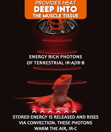 80W Deep Heat Infrared Projector Lamp for Reptiles, Emits both Infrared A & B Wavelengths, Reptiles Basking Light Heat Lamp Bulbs with Reflector for Bearded Dragons, Turtles, Snakes, Lizards, etc.