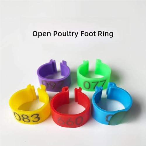 Adjustable Chicken Leg Bands 100 Pieces Chicken Leg Rings,Identification Bands,Poultry Leg Bands,Poultry Foot Rings for Pigeon Birds Chickens(Medium) - size: Medium