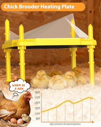 Chick Brooder Heating Plate, 14"x11"Adjustable Temperature & Height Heating Plate for Chicken with Anti-Roost Cone, Easy-Clean Poultry Coop Heater for Up to 18-22 Chicks (Yellow) - color: Yellow
