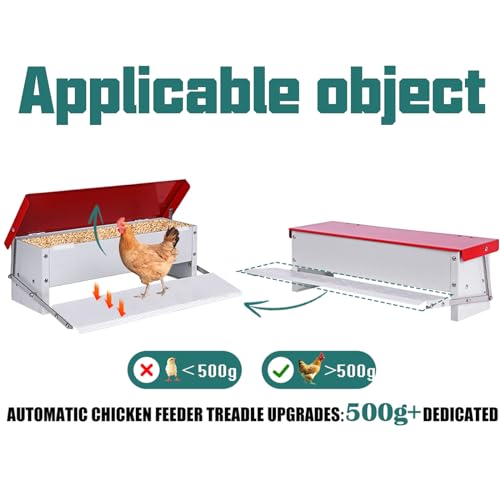 Automatic Chicken Feeder, Galvanized Treadle Poultry Feeder No Waste, Rainproof Metal Auto Chicken Feeder Rat-Proof, No-Spill for Duck Turkey Outside