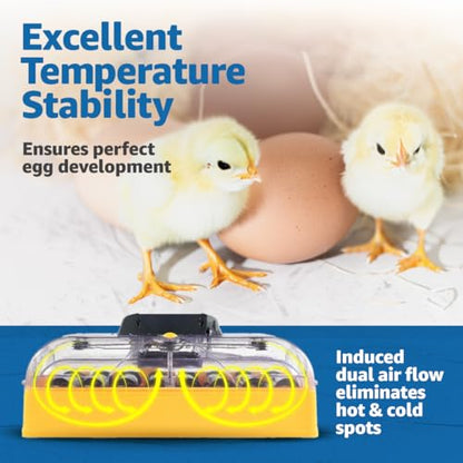 Brinsea Ovation 28 EX Egg Incubator & Expert Incubation Book, Automatic Humidity Control and Egg Turning for Hatching 28 Chicken, Duck, Other Bird Eggs, Precision Digital Controls - style: With Book