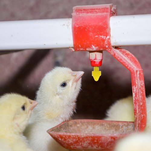 HEMOTON Automatic Poultry Waterer Nipples Set for Chickens with 12 Yellow Nipples, Installation Wrench and Drill Bit, Poultry Drinking Device for Agricultural and Livestock Use