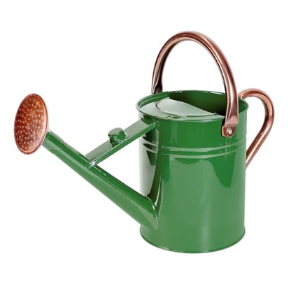 1 Gallon Metal Watering Can with Removable Spout, Nice Galvanized Steel Water Can for Indoor and Outdoor Plants (House Plants) - color: Green