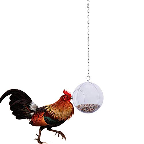 Parrot Hanging Ball Chicken Toy Size Versatile Durable Fun for Birds (As Shown)