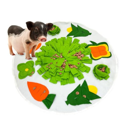 Snuffle Mat for Mini Pig,Pig Toys for Mini Pigs,Mini Pig Supplies,Pet Treats Feeding Mat,Puzzle Toys Encourages Natural Foraging Skills,23 X 23 Inches(White and Green)
