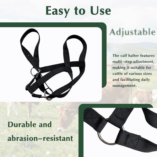 Cattle Cow Calf Halter, Calf Halter with Leading Rope, 18.9-23.23 Inch Adjustable Nylon Livestock Cattle Halter for Cattle, Miniature Horses, Foals, Donkeys, Goats (Black)