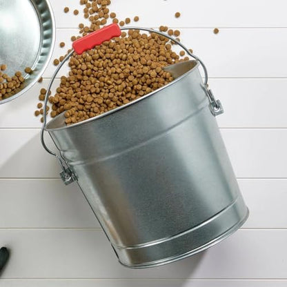 6-Gallon Galvanized Steel Storage Can with Locking Lid - Airtight Metal Container