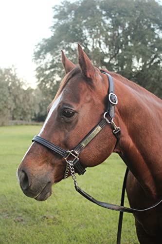 Tack Shack of Ocala Leather Halter for Horses with Customized Engraved Name Plate Option Halter for Horse | Brown/Brass, Black/Brass, Black/Chrome Options - size: Warmblood