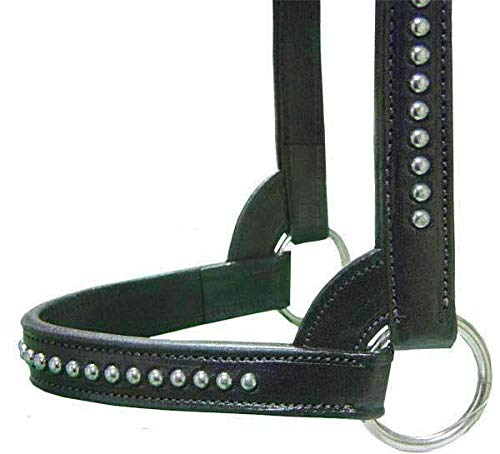 Derby Originals New and Improved Premium Show Spotted Flat Leather Cattle Show Halter with Matching Chain Lead - color: Black, size: Medium (650-1050lbs)