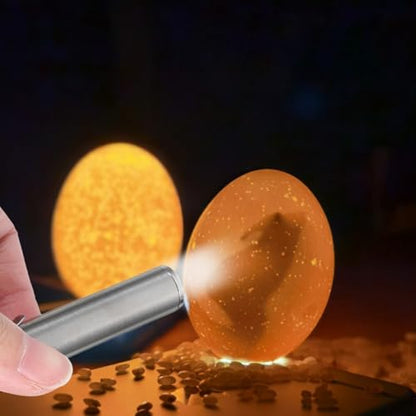 DOITOOL Portable Led Egg Candler Lamp for Chicken Duck Goose Egg Inspection Handheld Tester Light Incubator Tool for Poultry Care