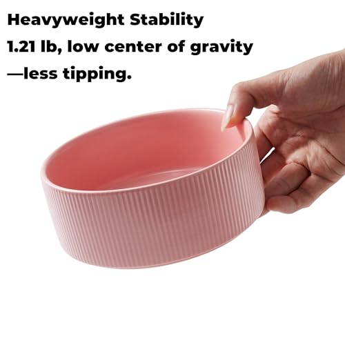 Guinea Pig Vegetable Bowl, Pink Ceramic 6 Inch Heavyweight Non-Tip Small Animal Food & Water Bowl – Wide Shallow Veggie Dish (~20 fl oz) for Chinchilla Rabbit Ferret