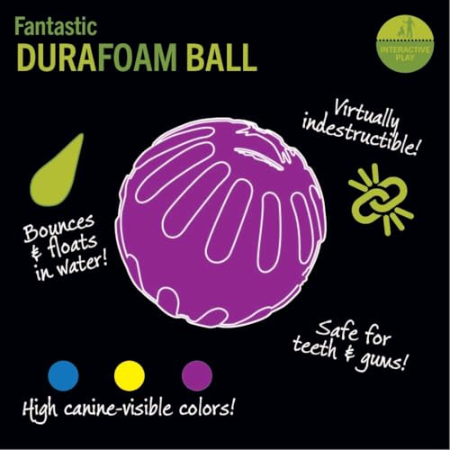 Starmark Fantastic DuraFoam Ball Tough Dog Toy, Color Varies Medium - size: Medium