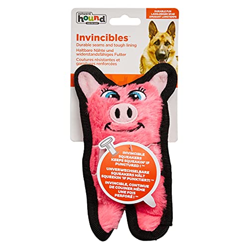 Outward Hound Durablez Minis – Squeaky Plush Dog Toy, No Stuffing for Less Mess, Interactive & Tough, Jumbo Squeaker, Puppies & Small Dogs, Pig, 6.8" (Pack of 2) - color: Pig, size: X-Small (Pack of 2)