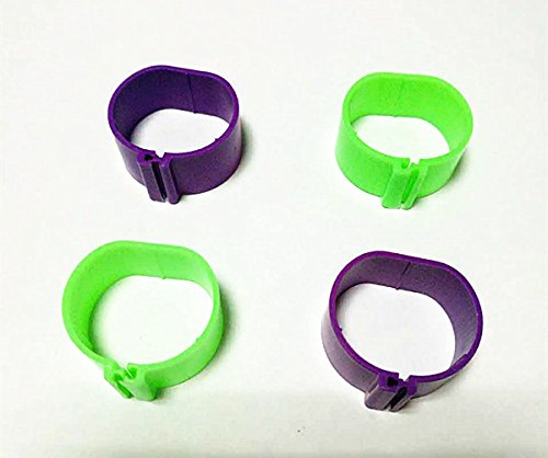 F-P 18mm Laser Plastic Numbered 001-100 Chicken Leg Bands Duck Chicken Goose Rings (Random) - color: green