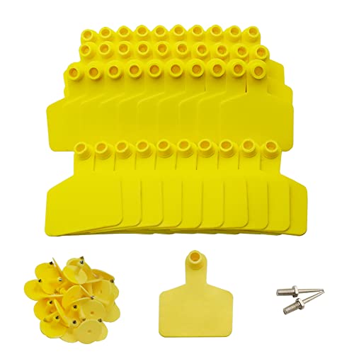 TPU Ear Tags 100pcs Blank Identification Tags with 2pcs Ear tag pins for Sheep Goat, Cattle Pig hog Livestock Animals (3" L*1.7" W) - size: 3"L*1.7"W-for Cattle