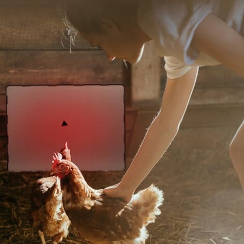 PINNKL Chicken Coop Heater, 15.3 x 11.4 Inch Chick Brooder Heating Plate, 140 Watts Adjustable Temp Radiant Heat Panel, for Chick Kitten Puppy Poultry Pets