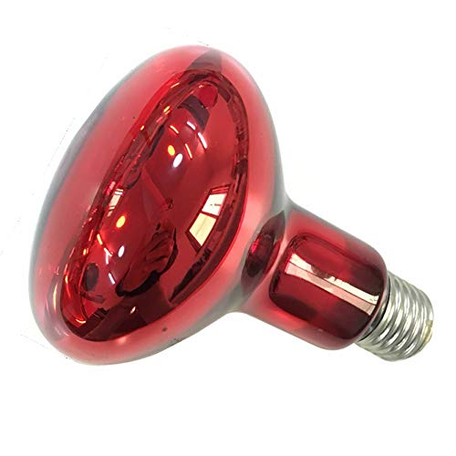 Infrared Heat Lamp 100 watt Red Hard Glass Waterproof Explosion-Proof Light Bulb for Chicken Pig Farm Pets Physiotherapy Bathroom in Winter(100w,120V)