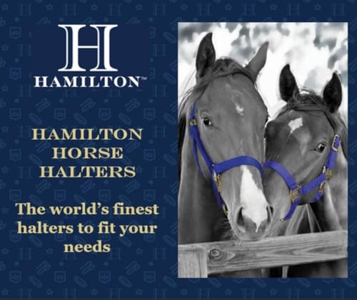 Hamilton Quality Rope Horse Halter and Detachable 7' Lead, Average Adult Horse, 800-1100 lbs, Black - color: Black