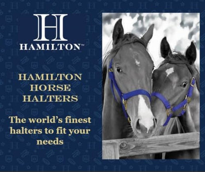 Hamilton Quality Rope Horse Halter and Detachable 7' Lead, Average Adult Horse, 800-1100 lbs, Dark Green - color: Dark Green