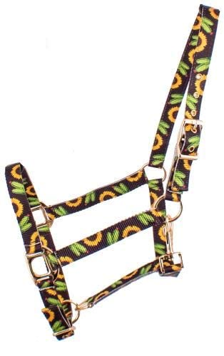 Showman Premium Nylon Halter w/Sunflower/Cactus Design