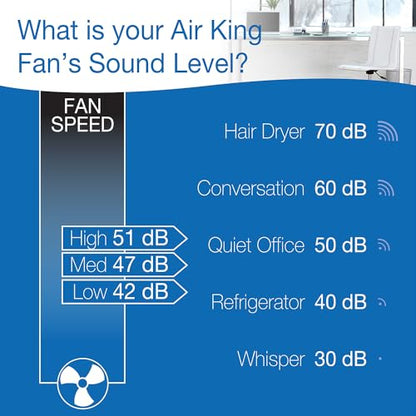 Air King 9016 Commercial Grade Oscillating Wall Mount Fan, 16-Inch - size: 16 inch, style: Classic