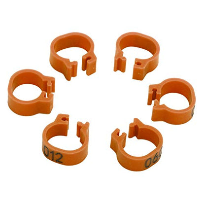 8mm Pigeon Leg Bands 0-100 Numbers Chicken Identification Leg Bands for Bantam Finch Dove Lovebird Coturnix Quail (Brown) - color: Brown