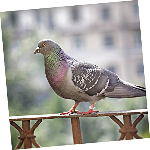 Mipcase 100pcs Easy Clip Pigeon Foot Marker Dove Leg Bands Numbered Sturdy Poultry Rings Bird Identification Bird Supplies - color: White
