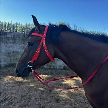 Cattle Halter Thickened Horse Halters Comfortable Adjustable Strap Bridle Headband Harness Durable Neck Stretcher Gear(Red-S) - color: Red-S