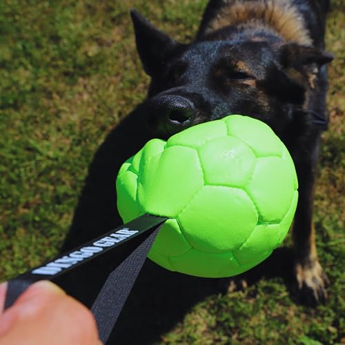 Dingo Gear Dog Ball and Pump Set, Faux Leather, Green 7in - color: Green Ball+Pump, size: 7"