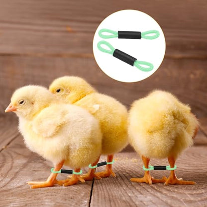 M METERXITY 50-Pack Adjustable Chick Leg Bands, 1.38" x 0.2" Polyester Chicken Leg Brace for Chicks/Ducks/Birds [Green] Poultry Leg Bands - color: Green