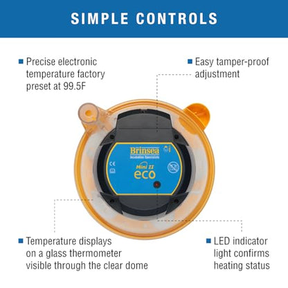 Brinsea Mini II Eco Manual Egg Incubator with External Water Top-Up, Fan Assisted Air Circulation for Hatching 10 Chicken, Duck, or Other Eggs, Ideal for Beginners - style: 10 Eggs