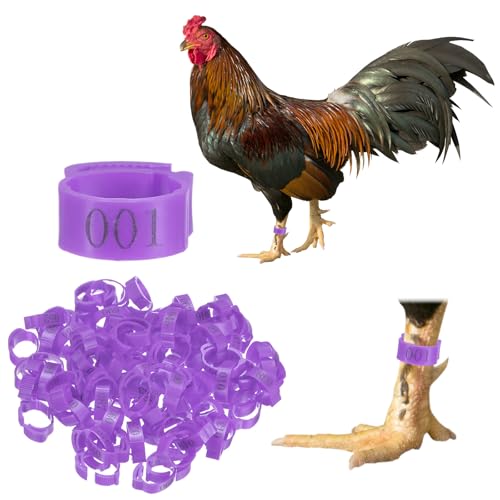 M METERXITY 100-Pack Adjustable Chickens Leg Bands, 17-22 mm Plastic Poultry Identification Chicken Leg Rings for Turkey/Duck/Goose/Chicks, Colorful Numbered Foot Clip on Tags [Purple] - color: Purple