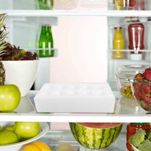BESTOYARD Egg Holder Tray 10-Grid, Thickened Foam Shock-Absorbing Protective Container for Shipping & Refrigerator Storage, for Fresh Chicken Eggs