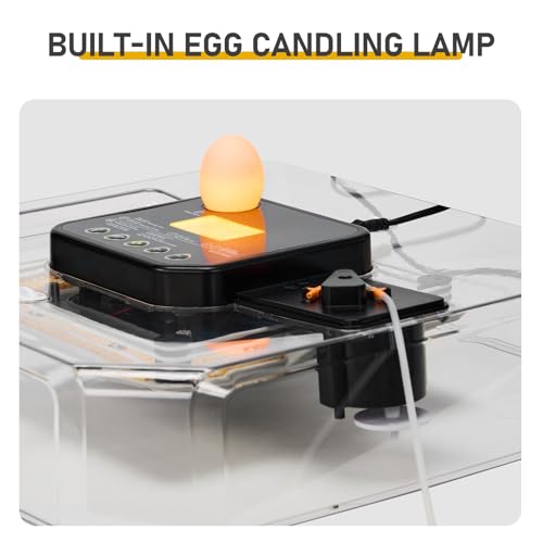 48 Chicken Egg Incubator, Automatic Egg Turner & Built-in Egg Candler, Easy-to-Read Humidity Display, Clear 360° Visibility for Home & Classroom Hatching
