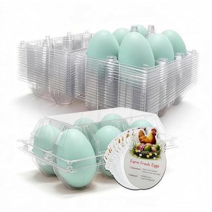 Clear Plastic Duck Turkey Jumbo Egg Storage Container, 6-Cell Cartons for Large Eggs, Reusable Refrigerator Tray (20)