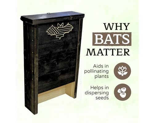 Made in USA- Black Stained Pine Bat House, 2 Chamber Bat Box, Easy-to-Install Wooden Bat House Kit, Weather-Resistant Bat Houses for Outdoors, with Mounting Screws - Applewood Outdoor - style: 2 Chamber Black