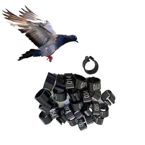 Chicken Leg Rings 9 Color Numbered Chicken Leg Bands Colorful Poultry Leg Bands 10mm Clip-on Chicken Ankle Ring(001-500) Black 301-400 - color: Black, size: 301-400