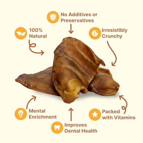 Gaines Pet Pig Ears for Dogs – 100 Pack, All-Natural Whole Ears – No Additives or Hormones, Rawhide Alternative, Supports Dental Health, Easily Digestible Treat for Small to Large Dogs - size: Pack of 100