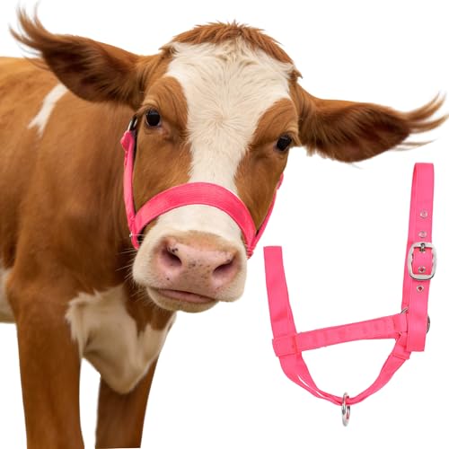 Adjustable Reinforced Nylon Calf Halter – All-Purpose, Durable Design for Cattle, Donkey, Goat, and Miniature Horse (Pink, S) - color: Pink, size: S(350-700lbs)